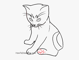 Draw the whiskers and the eyebrow hairs. Numbers Drawing Cat Draw A Small Cat Sitting Hd Png Download Kindpng