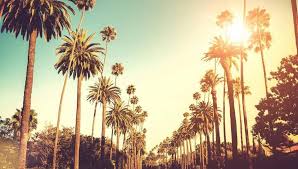 Profile for Ben Tichy