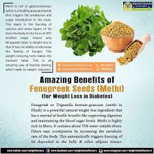 Pin On Weightshake Factory