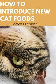 Find deals on products in cat supplies on amazon. How To Transition Cat Food The Right Way Complete Guide Caticles