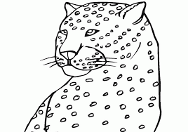 Your kids will also paint an illustration with a cheetah speeding in the grasslands. Cheetah Coloring Pages To Print Coloring Home