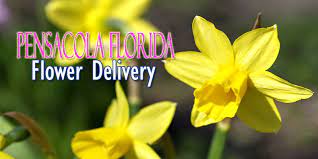 Check spelling or type a new query. The 8 Best Options For Flower Delivery In Pensacola Florida 2021