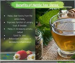 Bestsource Tea Health Benefits Detox Herbs Nettles Tea