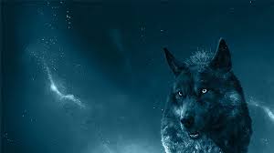 Galaxy wolf gif download share on phoneky. Lightning Wolf Wallpapers Top Free Lightning Wolf Backgrounds Wallpaperaccess