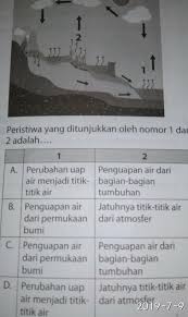 Evaporasi pengertian tujuan jenis faktor contoh from pakdosen.co.id evaporasi adalah merupakan peristiwa berubahnya air menjadi uap dan bergerak di permukaan tanah dan permukaan air ke udara. Peristiwa Yang Terjadi Pada Evaporasi Dan Transpirasi Adalah Brainly Co Id