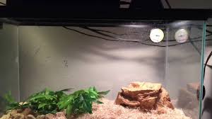 How To Put Reptile Security Clips On Your Reptiles Cage Youtube