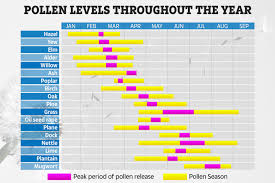 misery for hay fever sufferers as pollen levels soar and