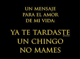 Donde Estas Amor De Mi Vida Jajaja Frases Hilarantes Frases Divertidas Frases Geniales