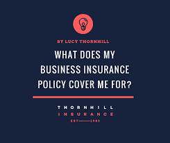 The task of obtaining a quote was really starting to frustrate me until i was referred to bizinsure through a different agency. What Does My Business Insurance Policy Cover Me For