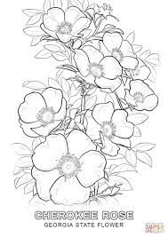 List of georgia state symbols. Rose Coloring Pages Flower Coloring Pages Flower Drawing