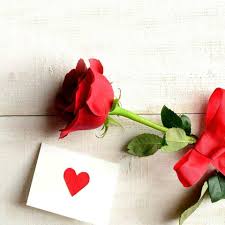 Share the best gifs now >>> Lovely Flowers Good Morning Dear Friends Have A Facebook