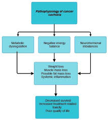 Image result for Cachexia in Cancer