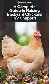 However, many people in urban and suburban communities have begun to add small flocks and coops to their backyard and it's easy to see why. A Complete Guide To Raising Backyard Chickens In 7 Chapters
