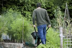 Schrebergarten Kosten Und Wissenswertes Im Uberblick