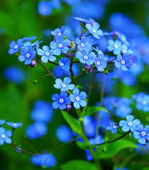 Maybe you would like to learn more about one of these? Nancy Hottle Obituary Winchester Va Jones Funeral Home Winchester
