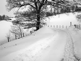 Philip Veale Photography The Festival Park Ebbw Vale Blaenau Gwent Photo Lake
