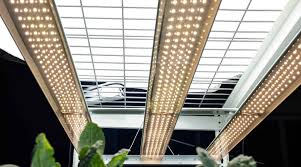 Maybe you would like to learn more about one of these? Led Grow Lights For Hemp Cannabis Cbd Cbg