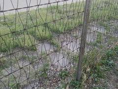 It can help decorate your garden with bright color.in order to find a beautiful and powerful fencing, you can choose the double loop wire mesh fencing. Wire Fence For Backyard Of 1920 Bungalow