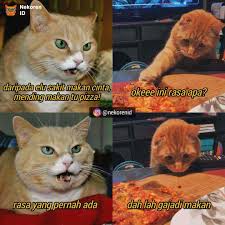 Nyesek 10 Meme Kucing Oren Ala Sadboy Ini Kocak Sekaligus Kasihan Di 2020 Kucing Meme Sangat Lucu