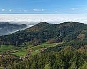 Image of Black Forest, Germany