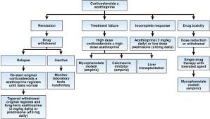 How is autoimmune hepatitis treated? Advances In The Diagnosis Pathogenesis And Management Of Autoimmune Hepatitis Gastroenterology