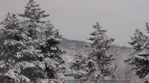 Maybe you would like to learn more about one of these? Galerie Foto ZÄpadÄ Liniste Si Peisaje Superbe A Venit Iarna La Nisporeni Portal De Ètiri