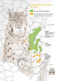 En 1976, l'hôtel de ville est inauguré. Conservation Et Presence En France Ferus