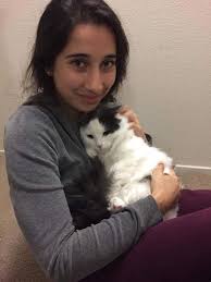 Lost black and white indoor cat in Covell Park