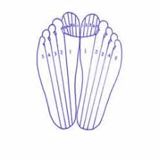 the 10 zones of the feet reflexology diagram foot