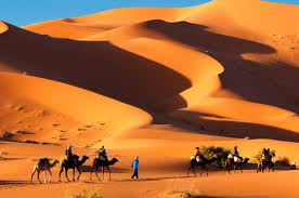 Photos, address, and phone number, opening hours, photos, and user reviews on yandex.maps. Berber Wedding In Merzouga Desert Picture Of Trip In Morocco Casablanca Tripadvisor