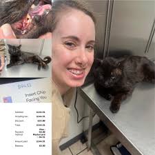 Can we get an update