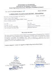 Atanu bhuyan, the editor of the assamese channel newslive that first broadcast the report of a woman being molested and beaten in a guwahati street, has resigned and will announce it later today. Atanu Bhuyan On Twitter 18 Elephants Of Bamuni Pahar Died Due To High Voltage Electric Shock Reveals Post Mortem Report