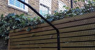Cat Fence And Cat Fences From Protectapet Cat Fence Cat Proofing Outdoor Cat Enclosure