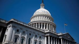 Image result for Blue 1990 US Government