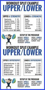 8 Powerful Muscle Building Gym Training Splits Lower Back Exercises Lower Back Workout Workout Splits Weight Training Workouts Gym Training