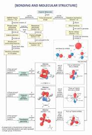 Principles Of Ecology Worksheet Answers 50 Worksheet Polarity Bonds Answers In 2020 In 2020 Science Chemistry Chemistry Organic Chemistry
