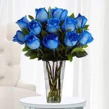 Fast flower delivery currently operates a same day delivery in london and a next day delivery throughout the united kingdom. 12 Blue Roses In A Vase A Dozen Roses In A Vase Send 12 Blue Roses