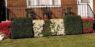 We did not find results for: Pruning Shrubs And Hedges University Of Maryland Extension