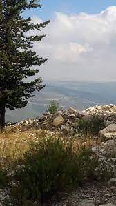 pin by نور القرآن on aaa ريف اللاذقية natural landmarks nature landmarks