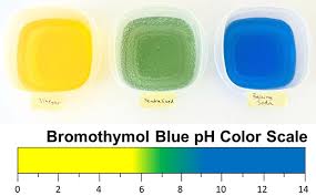 Bromthymol Blue Ph Color Range Usdchfchart Com