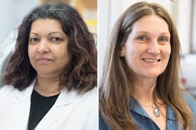 Rushika Perera, Sue VandeWoude land COVID-19 research awards from the  Boettcher Foundation
