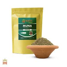 Image result for Manostachya