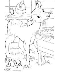 Free printable cow coloring pages for kids. Cow Coloring Page Calf In The Barn Eating Hay Cow Coloring Pages Farm Coloring Pages Farm Animal Coloring Pages