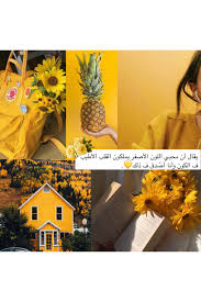 داخل ق لبي ورد أصفر مايذبل Fruit Pineapple Food