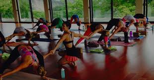 Winter 2022 online 200 hour yoga teacher training; Yoga Teacher Training 101 What You Need To Know East West