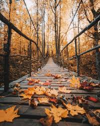 Pin Von Lisa Cre Auf Osen Herbstbilder Herbstlandschaft Landschaftsbilder