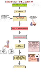 Cpr Training Why You Need To Learn It Basic Life Support The Latest Guidelines Steemit Basic Life Support Cpr Training Basic Life Support Training