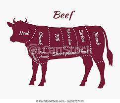 We did not find results for: Scheme Of Beef Cuts For Steak And Roast American Cuts Of Beef Scheme Of Beef Cuts For Steak And Roast Butcher Cuts Scheme Canstock