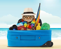 No matter what your pet's travel plans are, we can help them get there as quickly and. Pet Relocation Services Shipping Transport Services Jetset Pets
