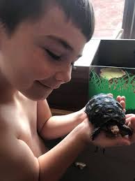 A couple of my recent hatchlings! @ isoherps